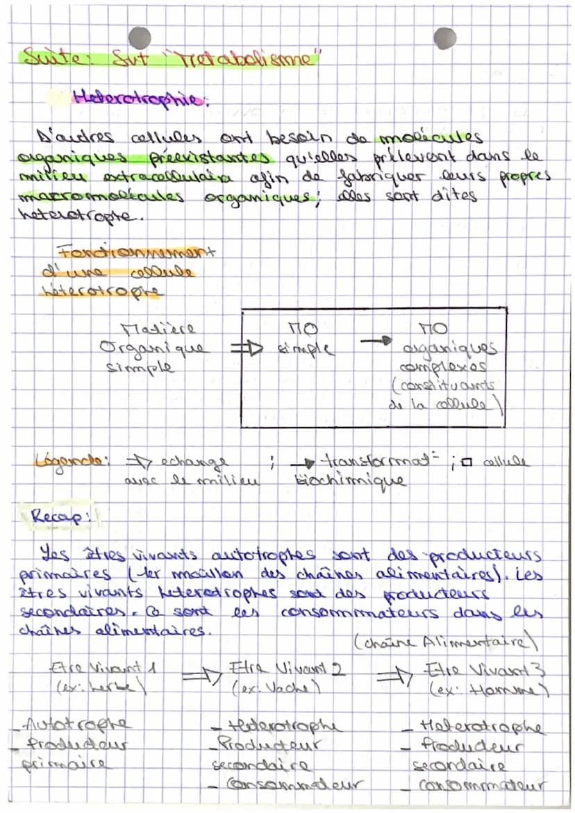 C
Sut: Le Tetabolisme
Definitions:
A motabolisime =17 ensemble des transformations
biochimiques qui ont
lien dans who cachute.
A vele andabo