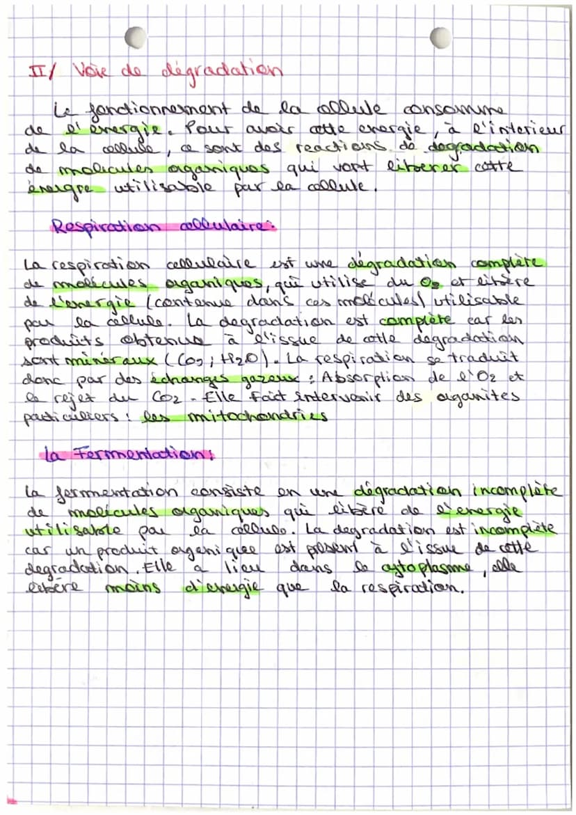 C
Sut: Le Tetabolisme
Definitions:
A motabolisime =17 ensemble des transformations
biochimiques qui ont
lien dans who cachute.
A vele andabo