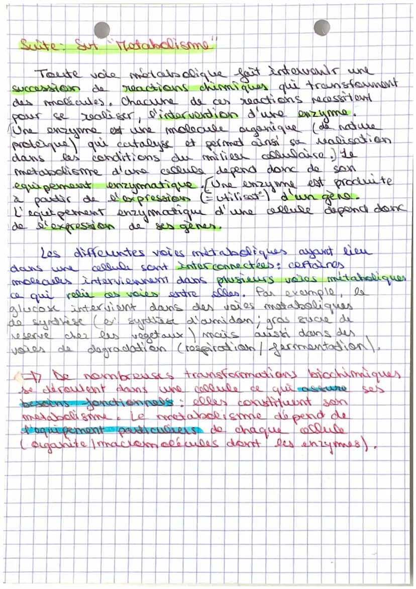 C
Sut: Le Tetabolisme
Definitions:
A motabolisime =17 ensemble des transformations
biochimiques qui ont
lien dans who cachute.
A vele andabo