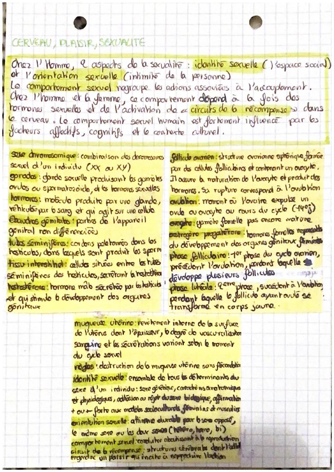 # Devenir homme
ou ferrame

LE DEVELOPPEMENT DES APPARELLS REPRODUCTEURS DE LA FECONDATION
A LA WAISSANCE

Au début du développemont embryon