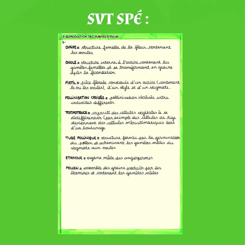 SVT SPÉ:
La Reproduction
des Plantes à Fleurs
I- La reproduction ascecule
▶ Beaucoup de plantes peuvent produire des
individus génétiquement