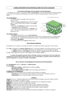 Know L'organisation fonctionnelle des plantes à fleurs  thumbnail