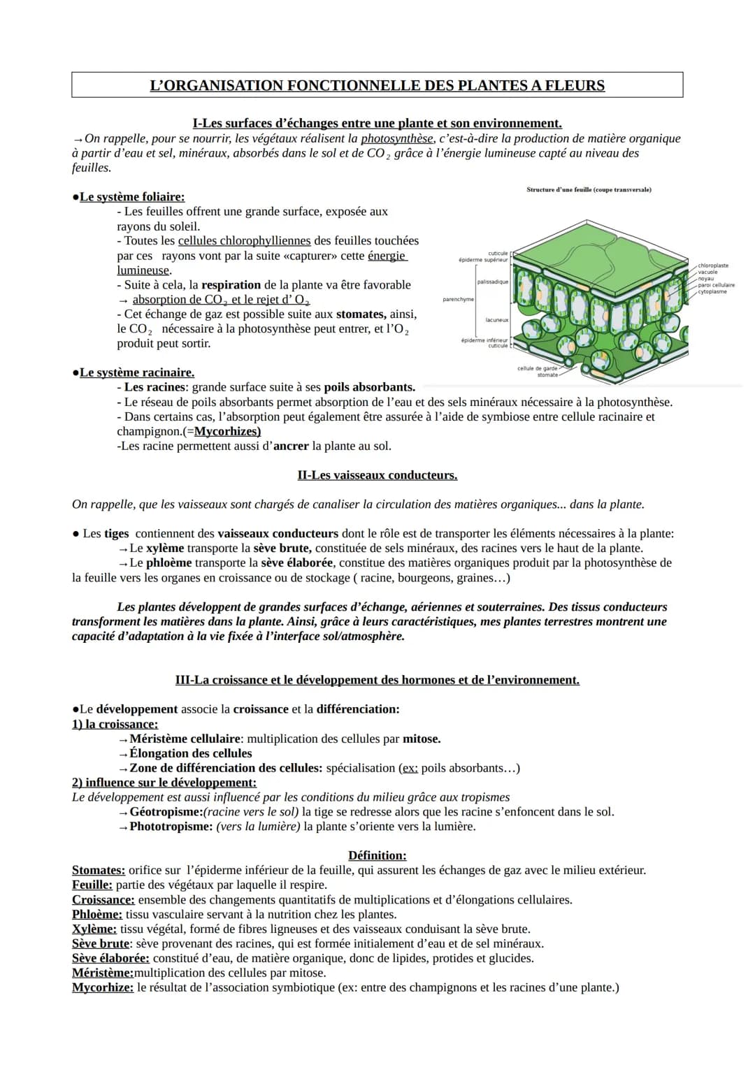 L'ORGANISATION FONCTIONNELLE DES PLANTES A FLEURS
I-Les surfaces d'échanges entre une plante et son environnement.
→ On rappelle, pour se no