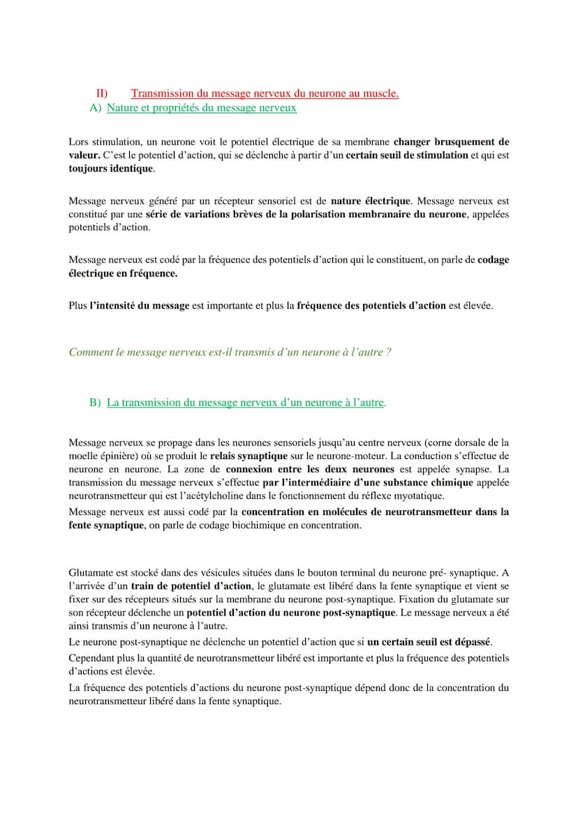 Les réflexes
Qu'est-ce qu'un réflexe et quelles en sont les caractéristiques ?
I) Les caractéristiques d'un réflexe : le réflexe myotatique

