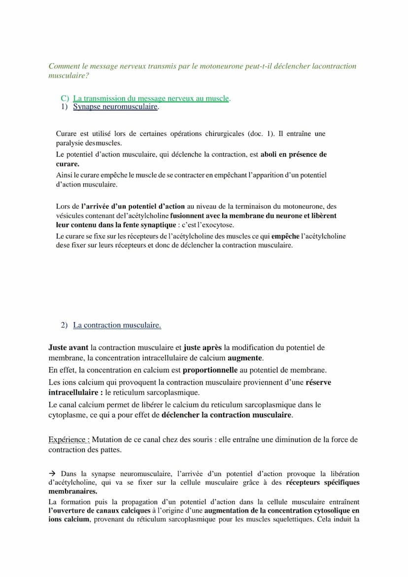 Les réflexes
Qu'est-ce qu'un réflexe et quelles en sont les caractéristiques ?
I) Les caractéristiques d'un réflexe : le réflexe myotatique
