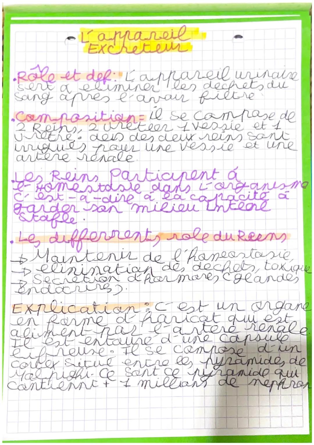 L’appareil excréteur