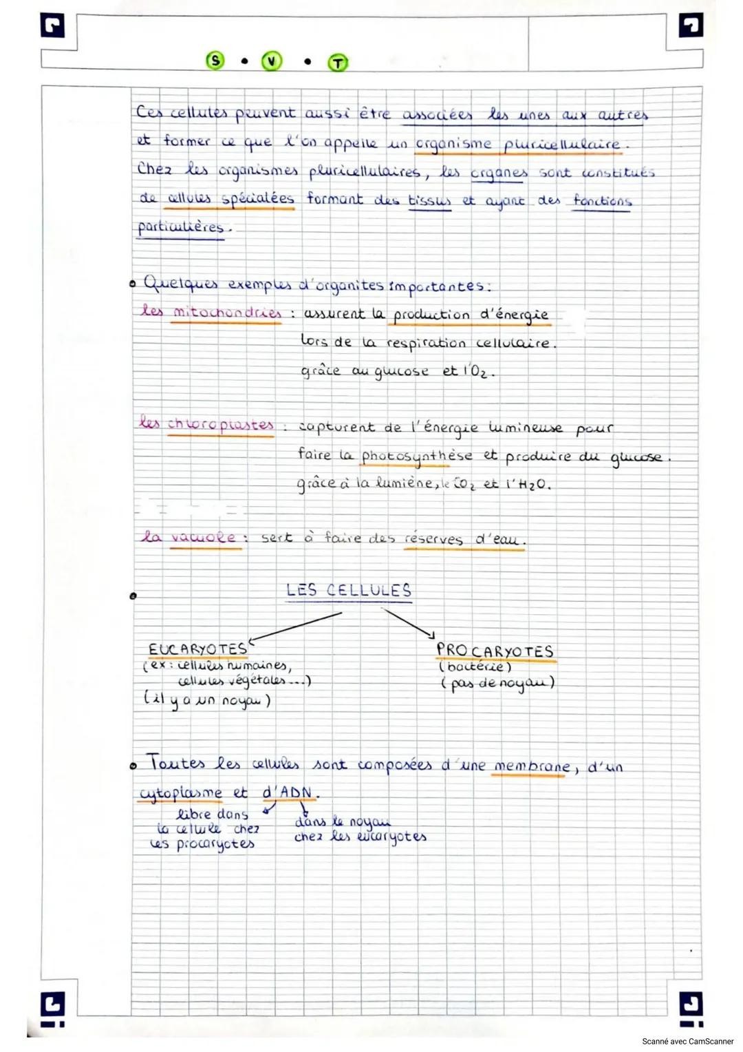 Di
Thème A: La
Terre
la vie et l'organisation thu
Chapitre 1: L'organisation fonctionnelle du vivant
1. LES DIFFÉRENTS ÉCHELLES DU VIVANT
Le