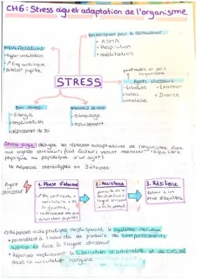 Know fiche très détaillée sur le stress  thumbnail