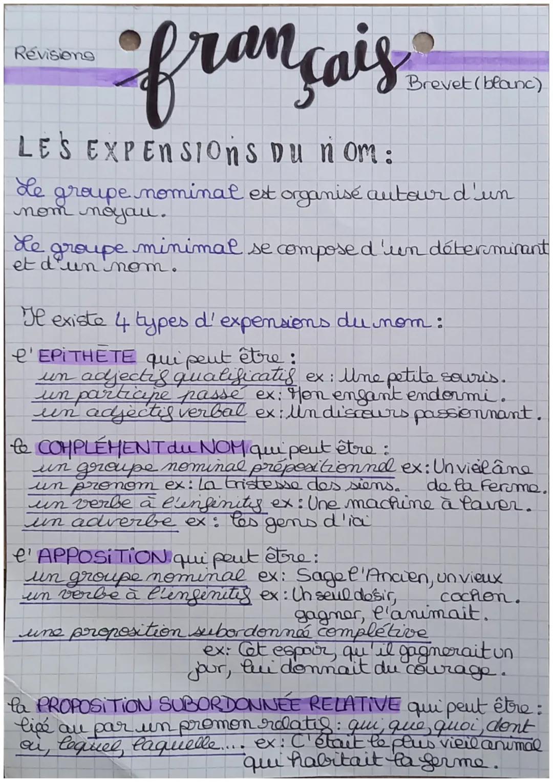 français
LES EXPENSIONS Du nom:
Le
groupe nominal est organisé autour d'un
nom noyau.
Le
groupe minimal se compose d'un déterminant
et d'un 
