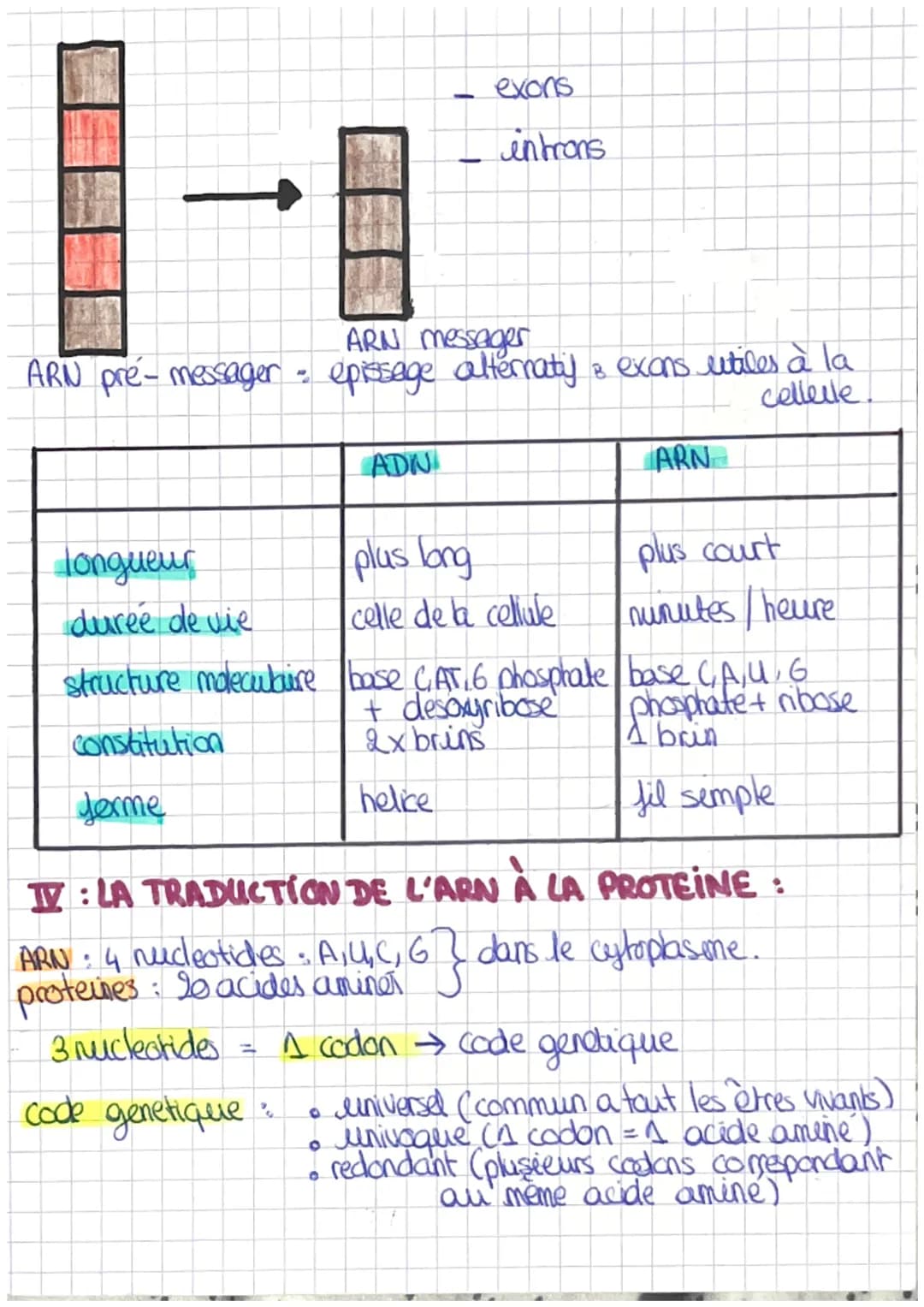 CHAPITRE 4: L'EXPRESSION DU PATRIMOINE GENETIQU
I: LES PROTEINES RESULTAT DE L'INFORMATION GEN ETIQUE
proteine = sequence d'acide amine → se