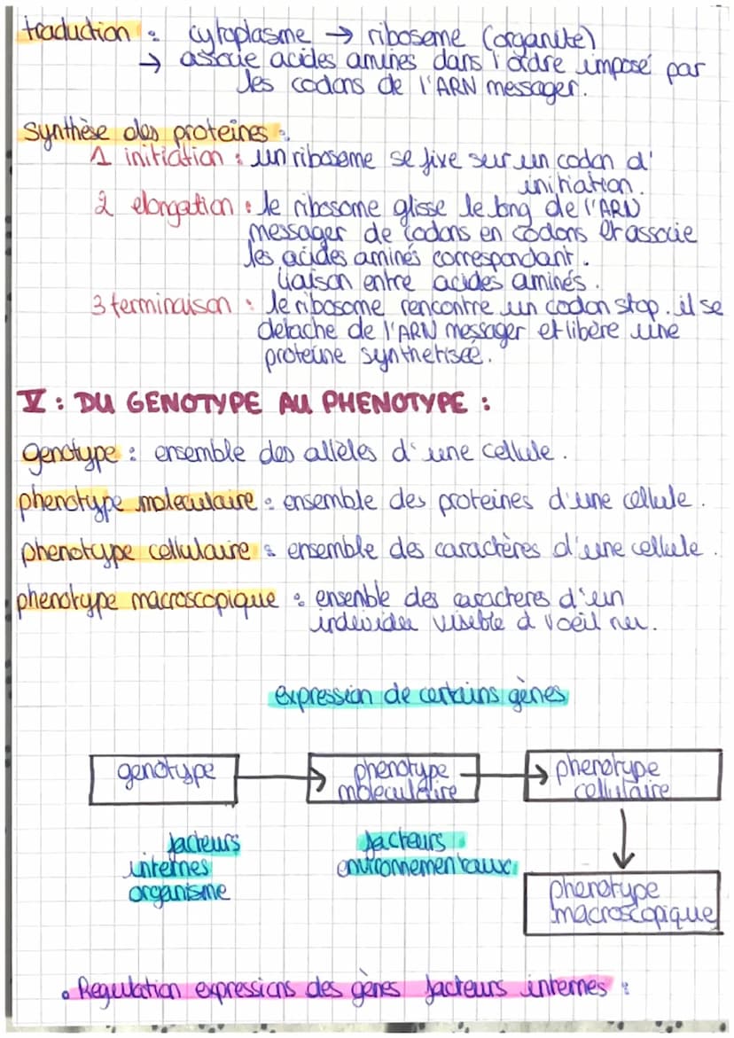CHAPITRE 4: L'EXPRESSION DU PATRIMOINE GENETIQU
I: LES PROTEINES RESULTAT DE L'INFORMATION GEN ETIQUE
proteine = sequence d'acide amine → se