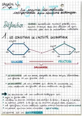 Know les enzymes: des molécules indispensables aux réactions biochimiques  thumbnail