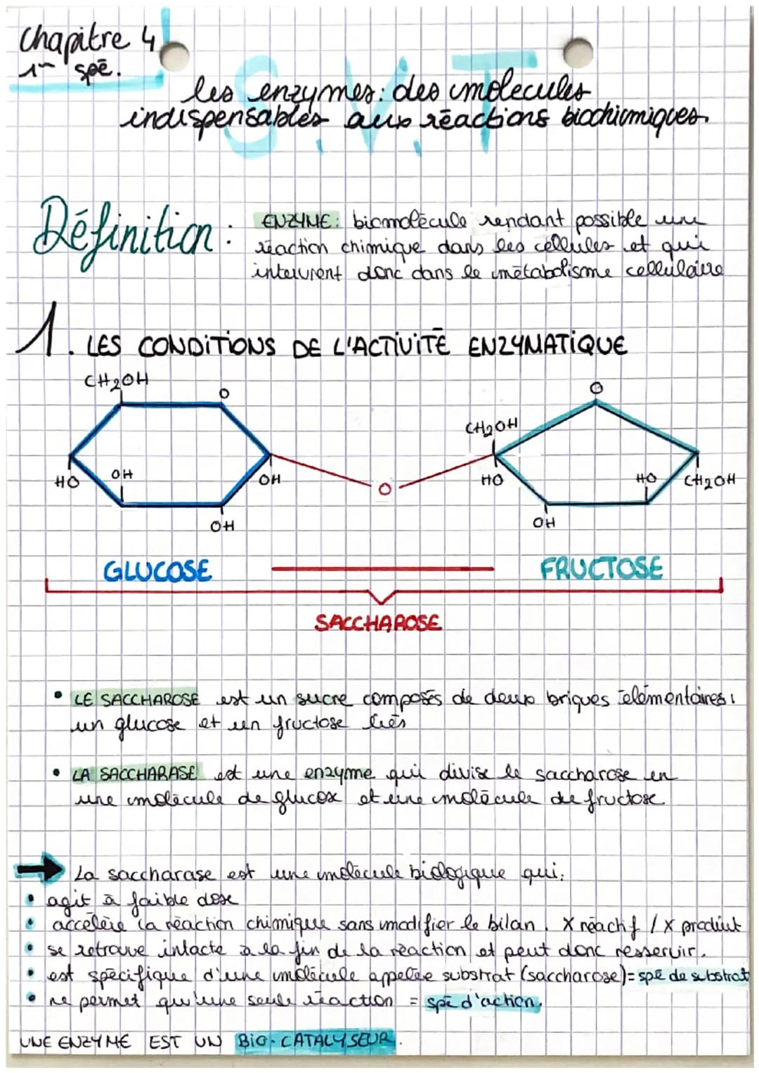 chapitre 4
1 spē.
les enzymes: des molecules
indispensables aux reactions biochimiques
Définition
1. LES CONDITIONS DE L'ACTIVITÉ ENZYMATIQU
