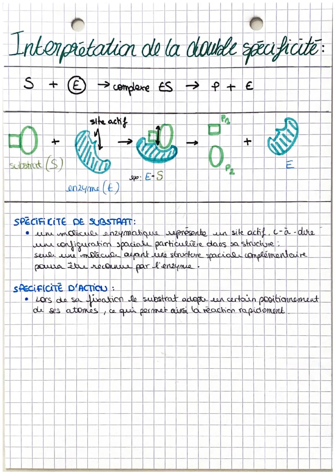 chapitre 4
1 spē.
les enzymes: des molecules
indispensables aux reactions biochimiques
Définition
1. LES CONDITIONS DE L'ACTIVITÉ ENZYMATIQU