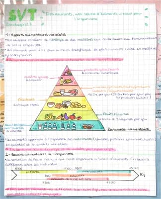 Know Les aliments, une source d'éléments vitaux pour l'organisme thumbnail