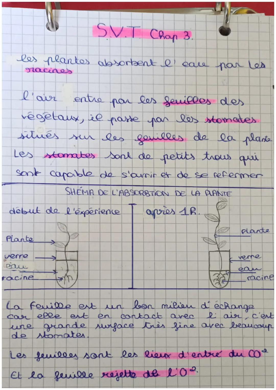 S.V.T Chap 3.

les plantes absorbent I eace par les
racines

l'air entre par les feuilles des
végétaux, il paste par les stomades.
situés su