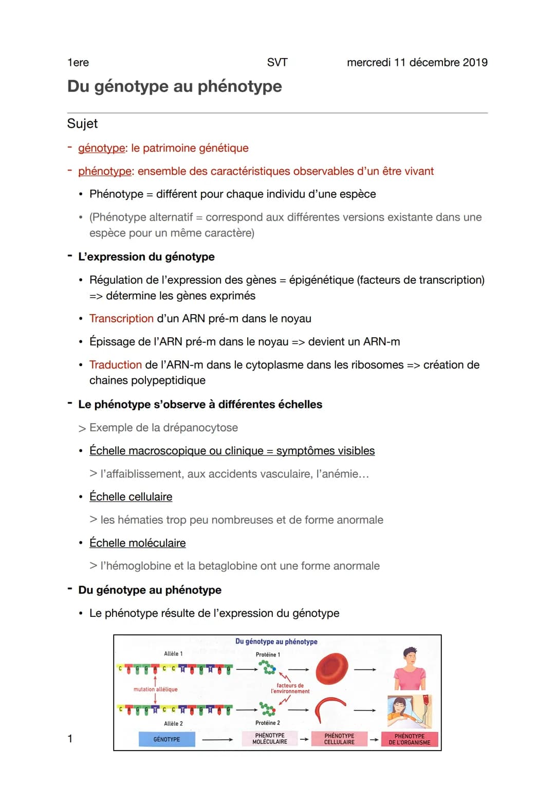 1ere
Du génotype au phénotype
Sujet
génotype: le patrimoine génétique
phénotype: ensemble des caractéristiques observables d'un être vivant
