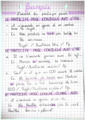 Know l’accord du participe passé  thumbnail