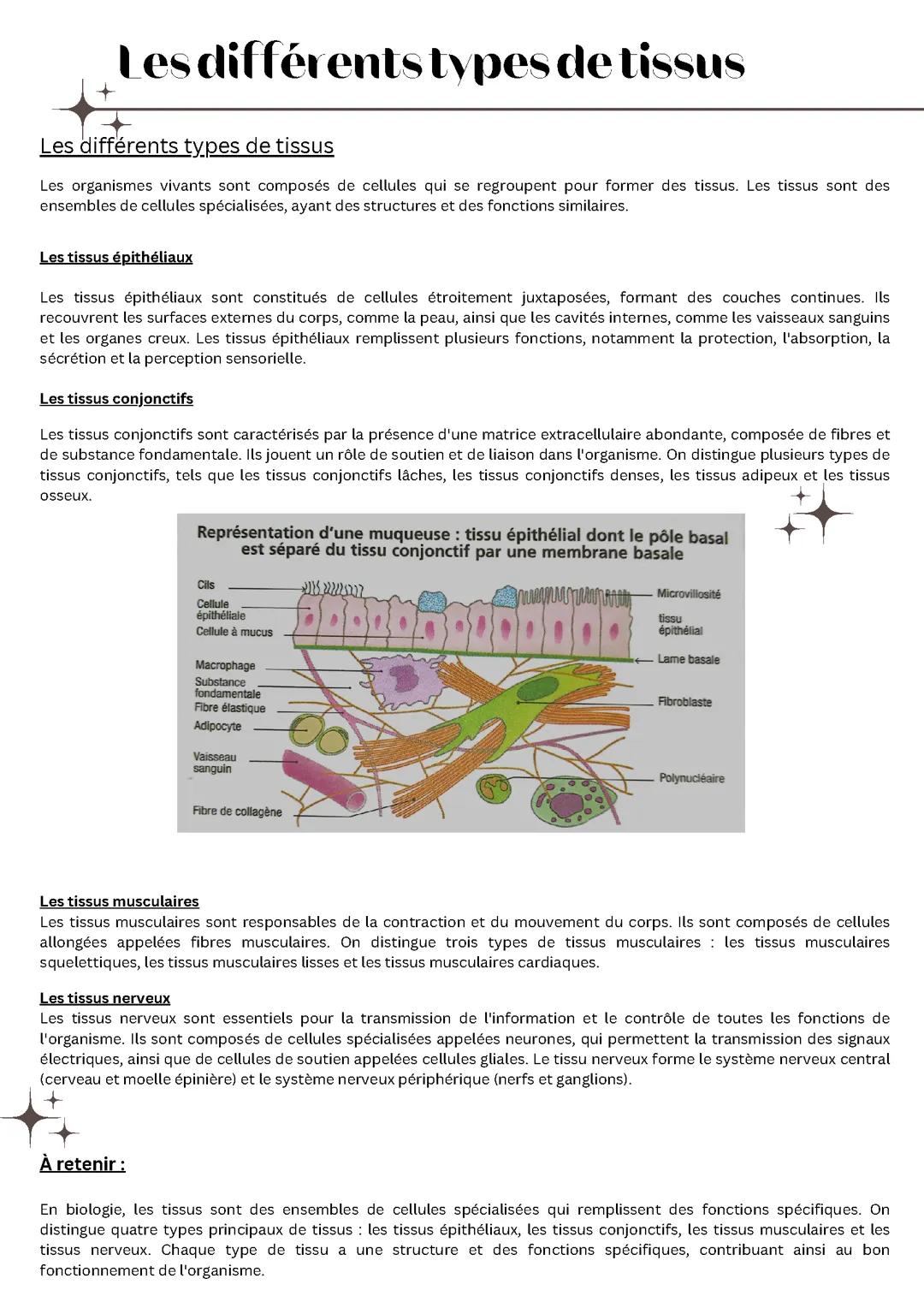 Les différents types de tissus