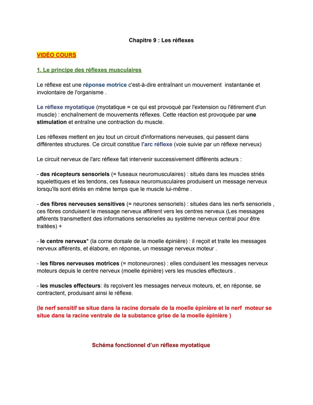 Chapitre : Les réflexes 
