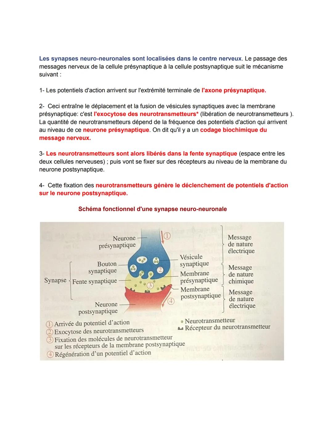 Chapitre 9: Les réflexes
VIDÉO COURS
1. Le principe des réflexes musculaires
Le réflexe est une réponse motrice c'est-à-dire entraînant un m