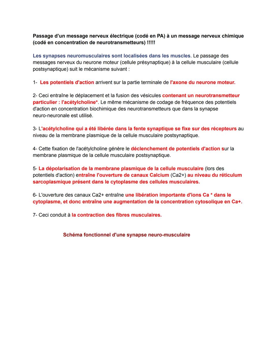 Chapitre 9: Les réflexes
VIDÉO COURS
1. Le principe des réflexes musculaires
Le réflexe est une réponse motrice c'est-à-dire entraînant un m