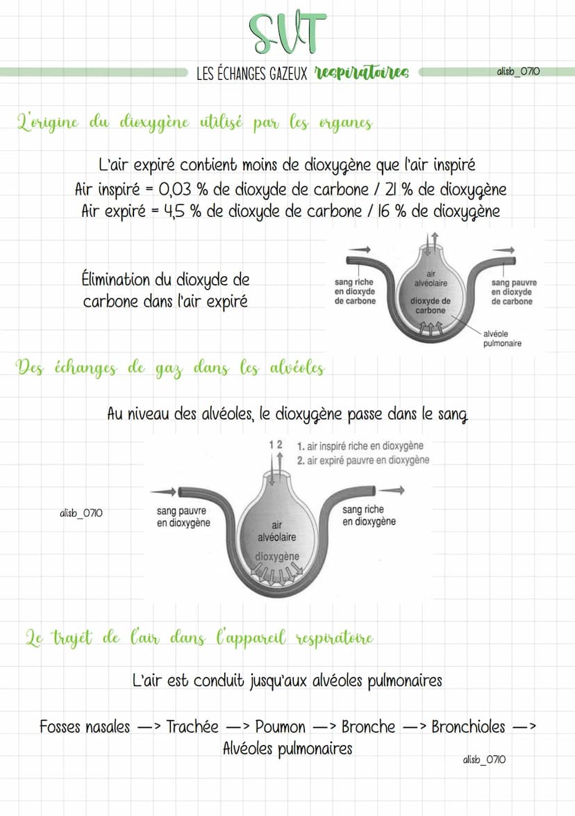 SUT
LES ÉCHANGES GAZEUX respiratoires
L'origine du dioxygène utilisé par les organes
Le dioxygène utilisé en permanence par les organes prov