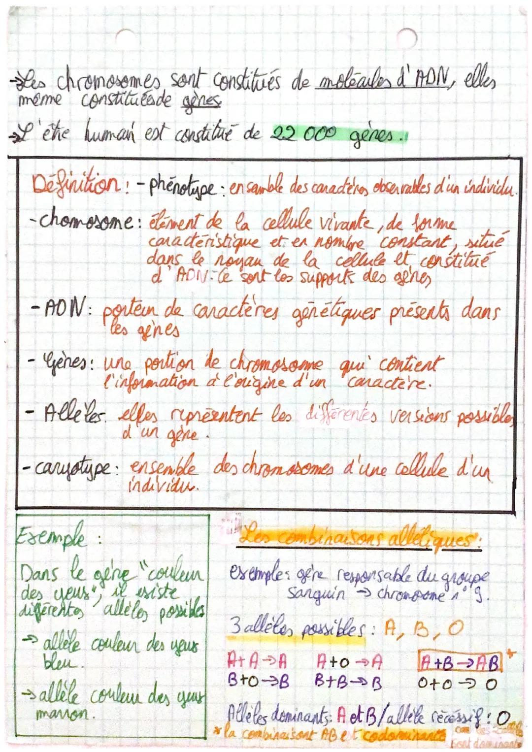 Les chromosomes sont constitués de molécules d'ADN, elles
même constitulede gènes.
L'êthe human est constitué de 22000 gènes ..
Definition: 