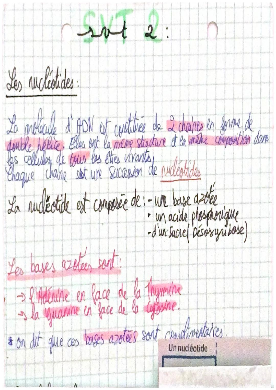 Les chromosomes sont constitués de molécules d'ADN, elles
même constitulede gènes.
L'êthe human est constitué de 22000 gènes ..
Definition: 