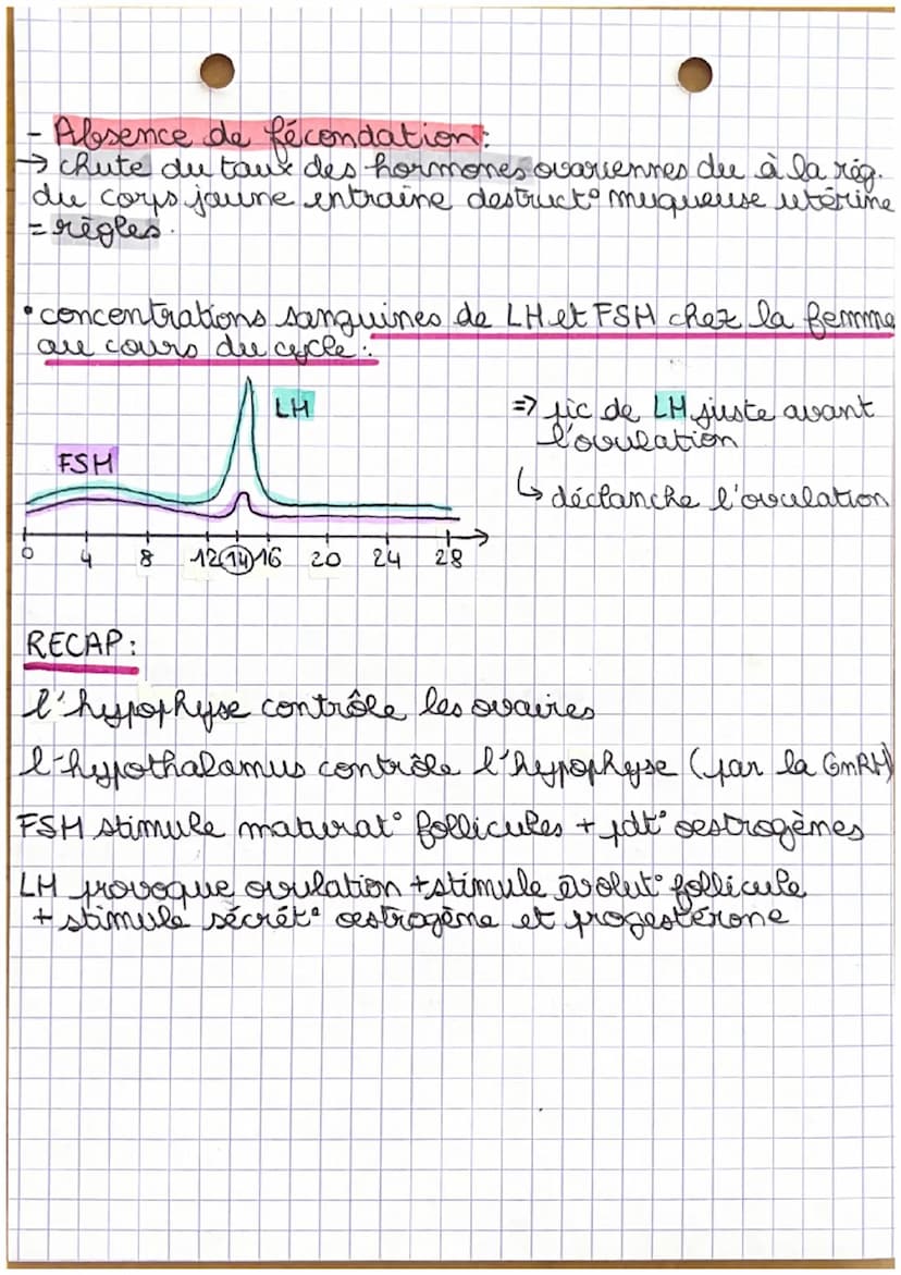 SVT:
Chez la femme:
• Shema fonctionnel du contrôle du fonctionnemt de
l'appareil reproducteur féminin:
rétrocontrole
0
Le contrôle du
fonct