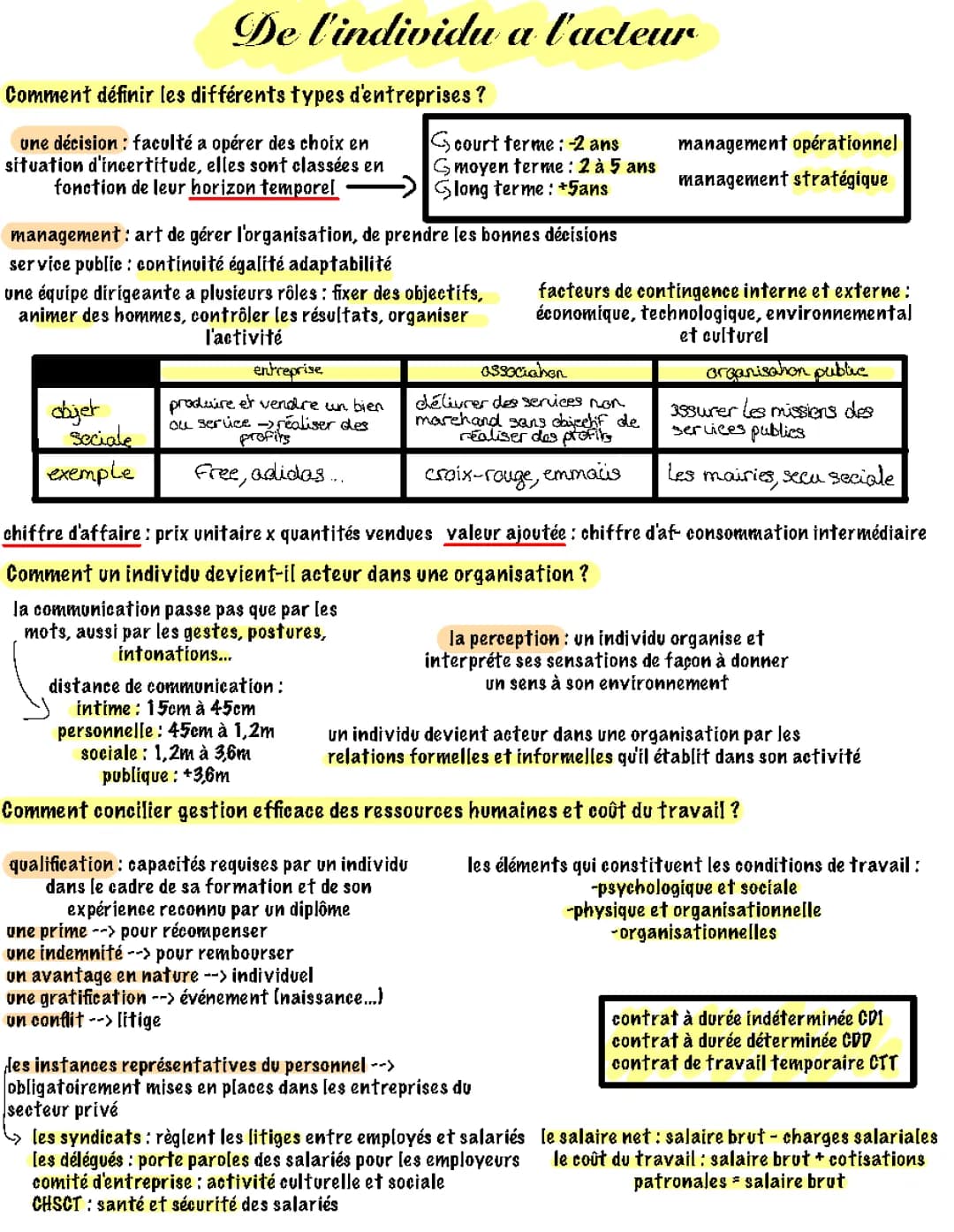 De l'individu à l'acteur en STMG - Cours et Exercice 1ère STMG