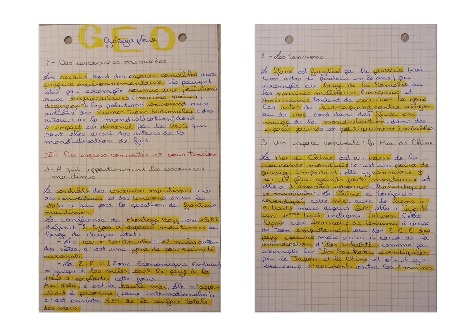 G géographie
Mais et Océans: Au coeur de la
mondialisation
L'Ever given qui s'était retrouvé
bloqué dans le canal de Suez
mais
2021 a pertur