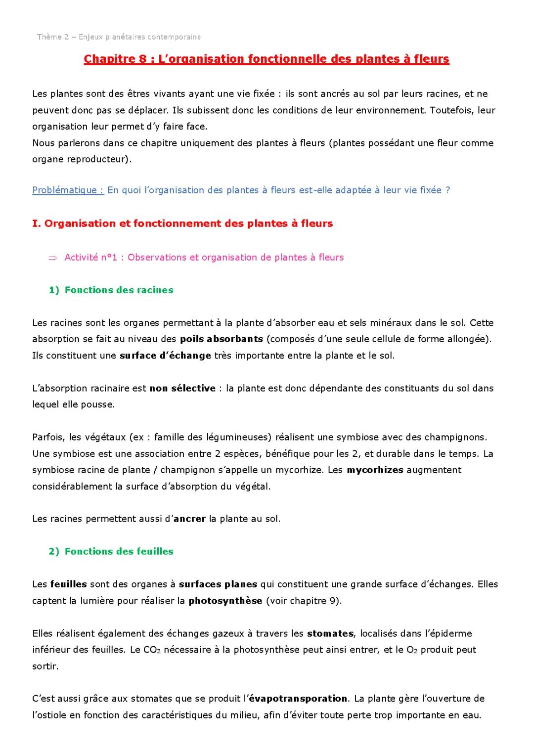 L'organisation fonctionnelle des plantes à fleurs - PDF, Fiche de révision et Schémas