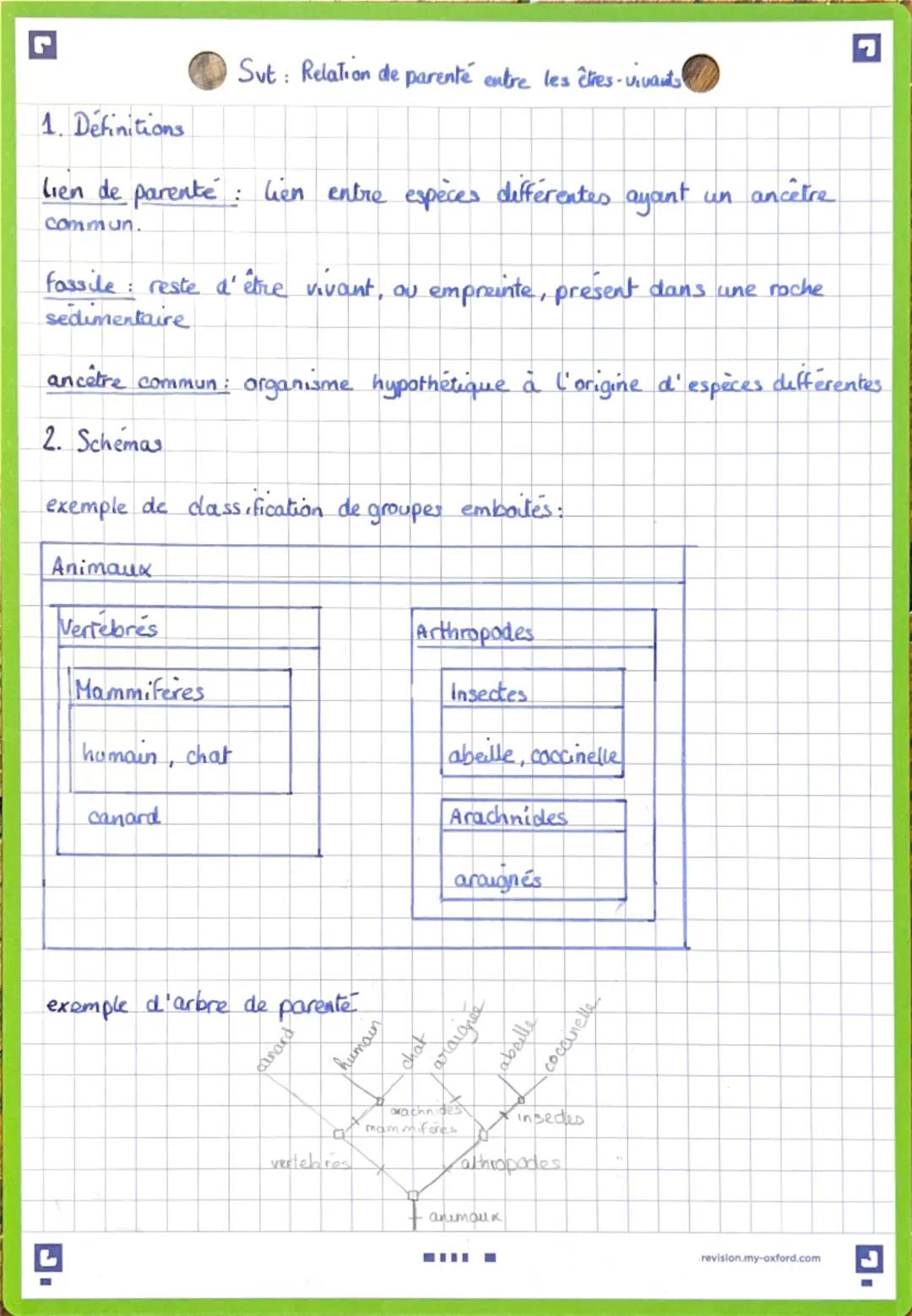 Relation de parenté entre les etres vivants 