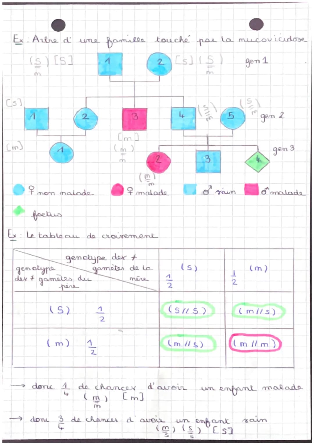 &
* Monogénique = maladie qui implique 1 seul gène
• Genotype - patrimoine héréditaire dependant de
l'ensemble des gènex.
* Ensemble des car