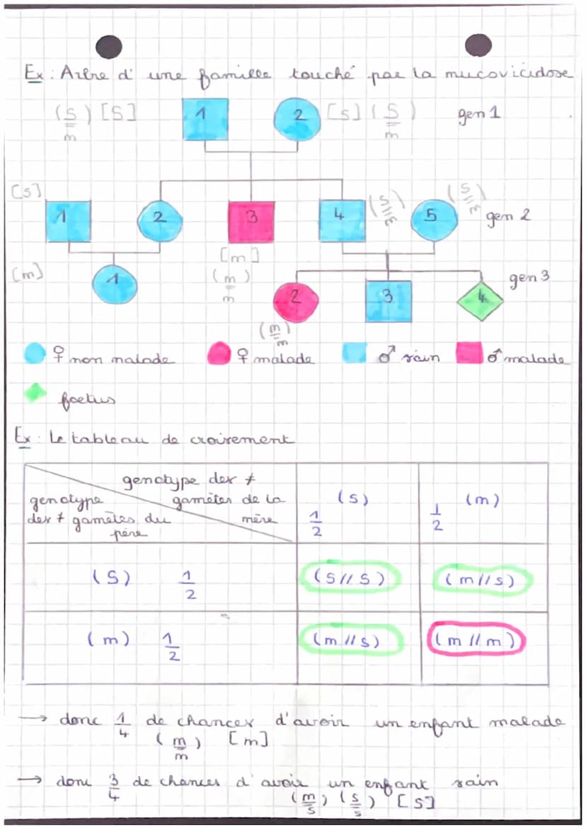 &
* Monogénique = maladie qui implique 1 seul gène
• Genotype - patrimoine héréditaire dependant de
l'ensemble des gènex.
* Ensemble des car