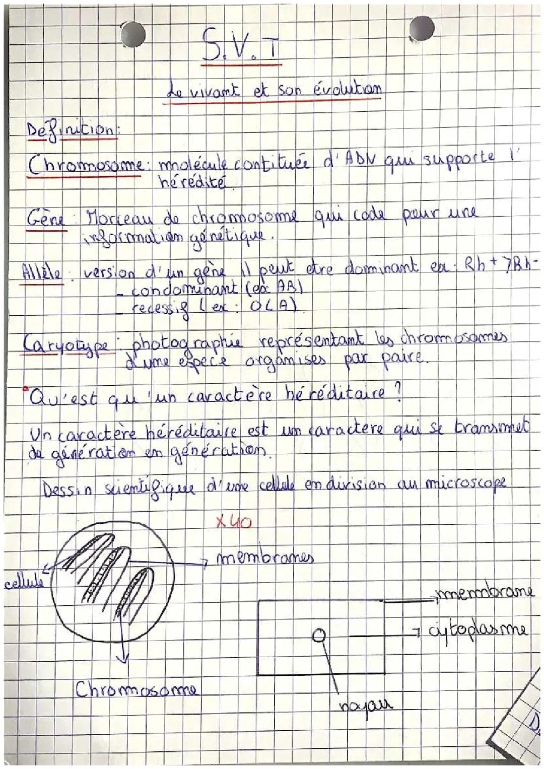 le vivant et son évolution 