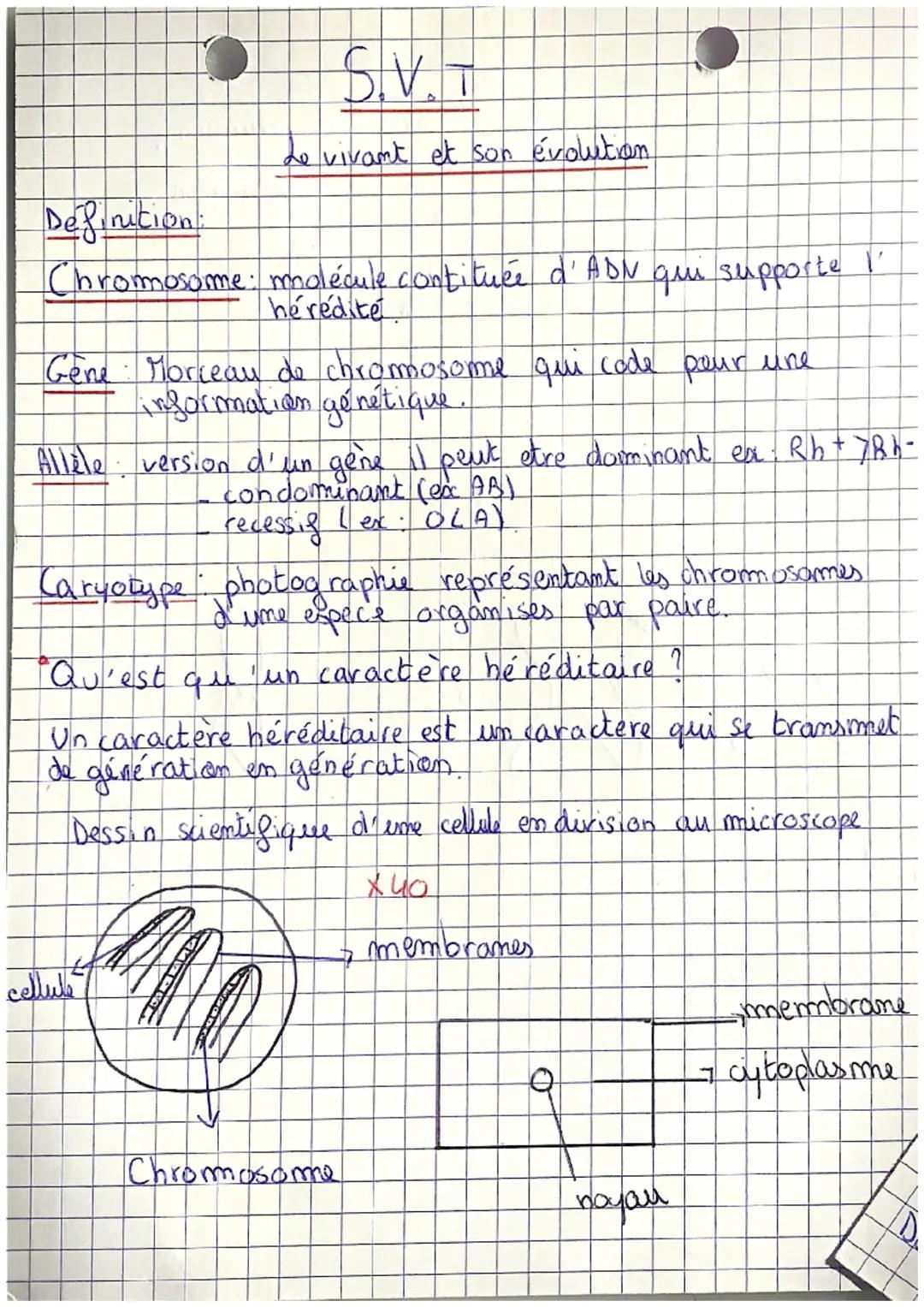 Definition:
hromosome
S.V. T
de vivant et son évolution.
molécule contituée d'ADN
heredite
Gene Morceau de chromosome qui code pour une
info