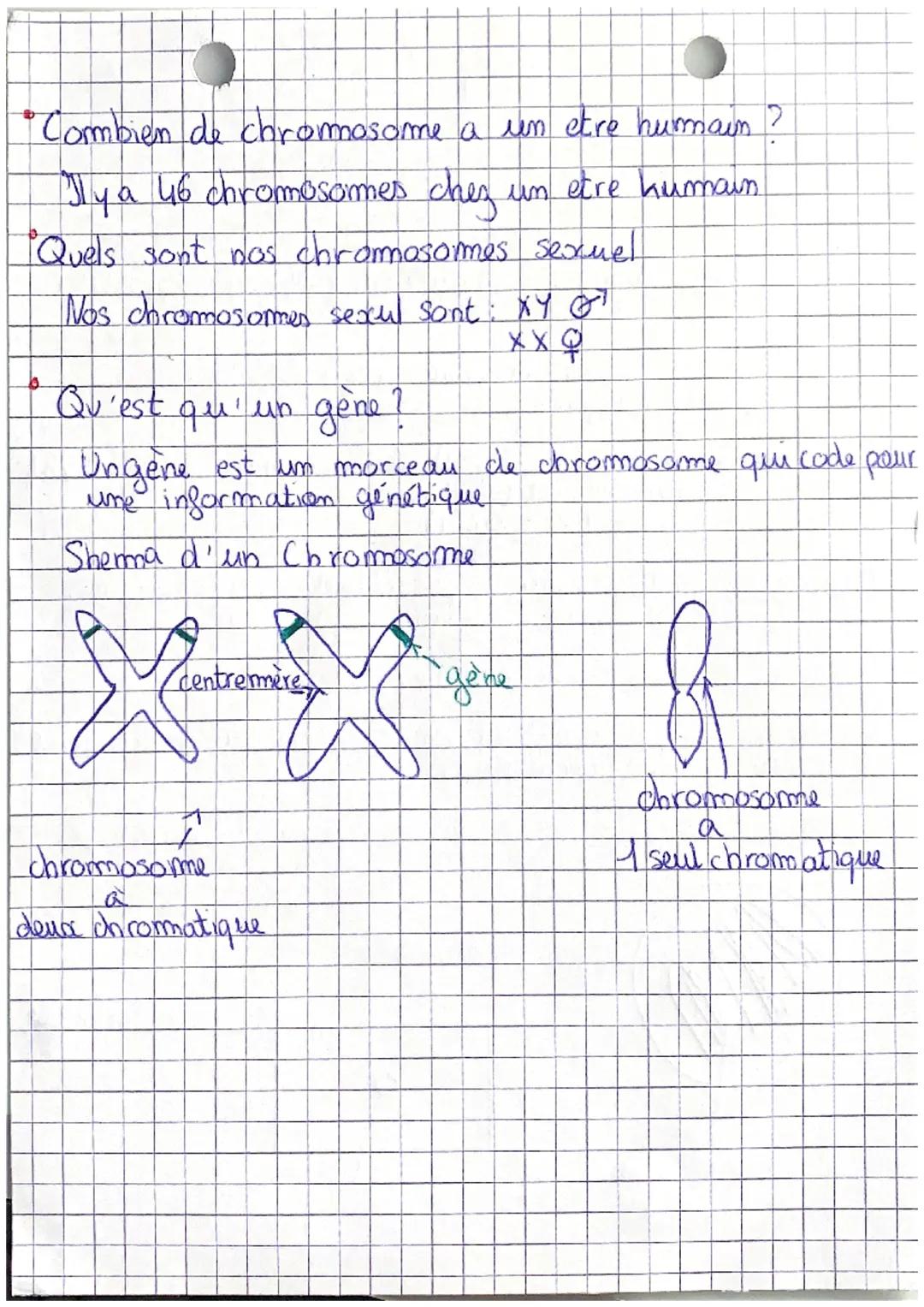 Definition:
hromosome
S.V. T
de vivant et son évolution.
molécule contituée d'ADN
heredite
Gene Morceau de chromosome qui code pour une
info