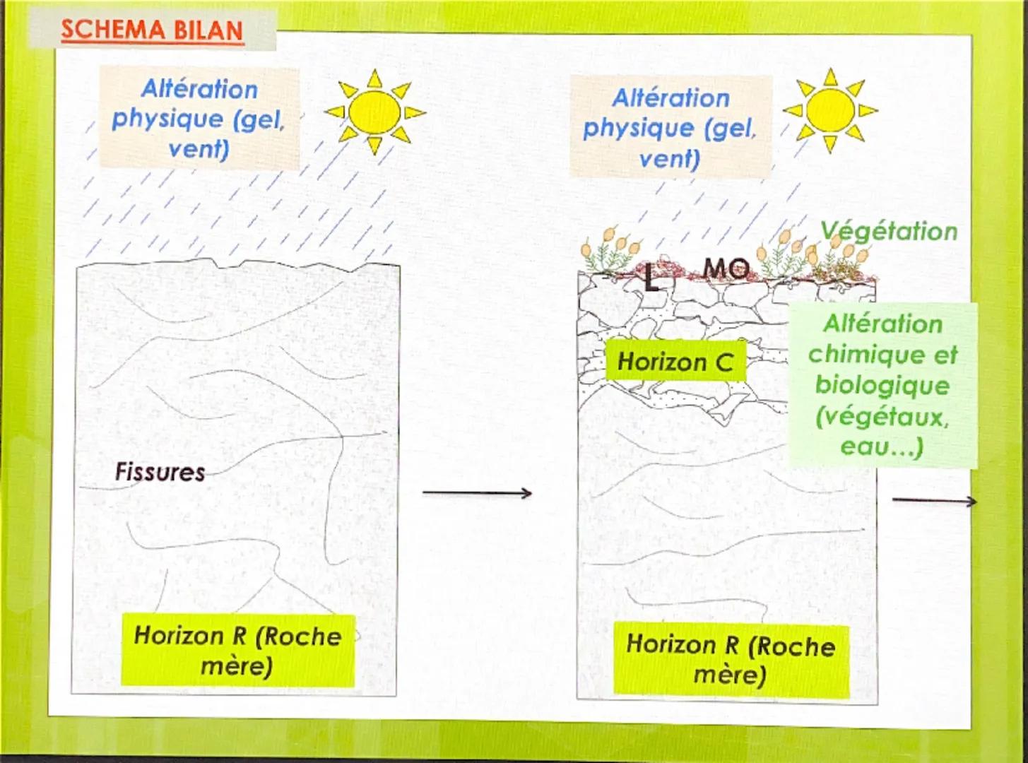 CHAPITRE 2 : STRUCTURE
ET FONCTIONNEMENT DES
AGROSYSTEMES Nous avons vu que les roches subissaient
des altérations libérant ainsi de nombreu