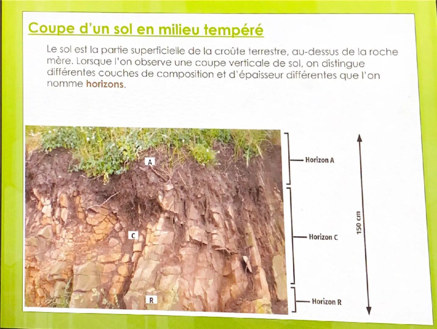 CHAPITRE 2 : STRUCTURE
ET FONCTIONNEMENT DES
AGROSYSTEMES Nous avons vu que les roches subissaient
des altérations libérant ainsi de nombreu