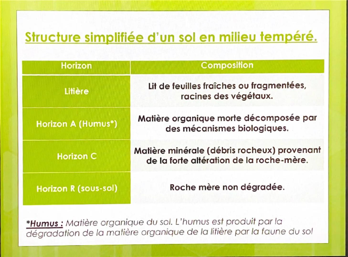 CHAPITRE 2 : STRUCTURE
ET FONCTIONNEMENT DES
AGROSYSTEMES Nous avons vu que les roches subissaient
des altérations libérant ainsi de nombreu