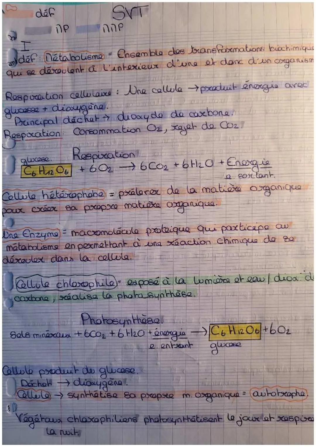 SVT : Métabolisme des cellules 