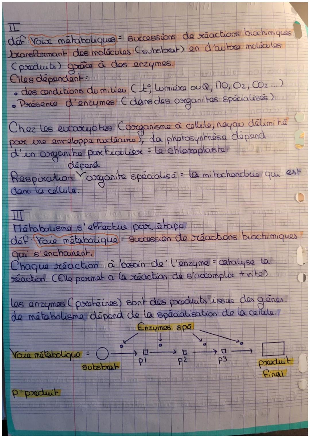 déf
пр
SVT
הה
I
am def netabolisme - Ensemble des transformations biochimique
organism
qui se déroulent à l'interieur d'une et donc d'un
Res