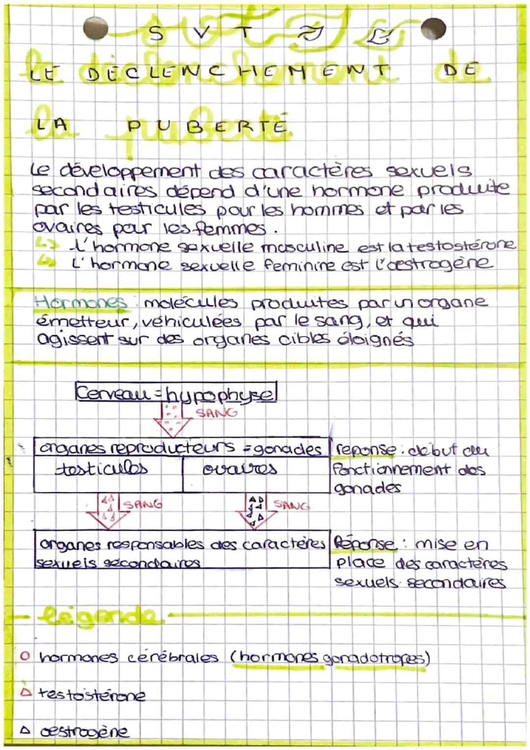 sot gj
as
LA REPRODUCTION
HUMAINE
histoire des sciences.
Theorie de la generation spontanée
<> une force superieure qui permet la naissance 