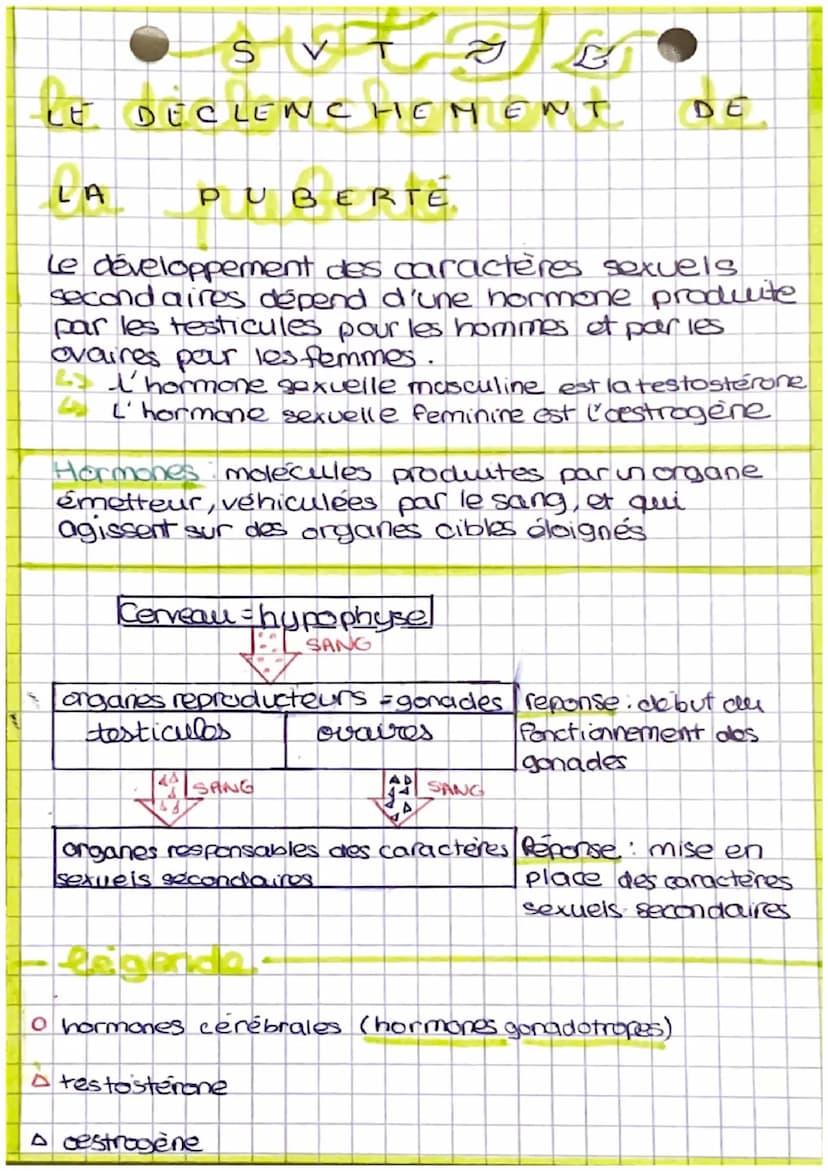 sot gj
as
LA REPRODUCTION
HUMAINE
histoire des sciences.
Theorie de la generation spontanée
<> une force superieure qui permet la naissance 