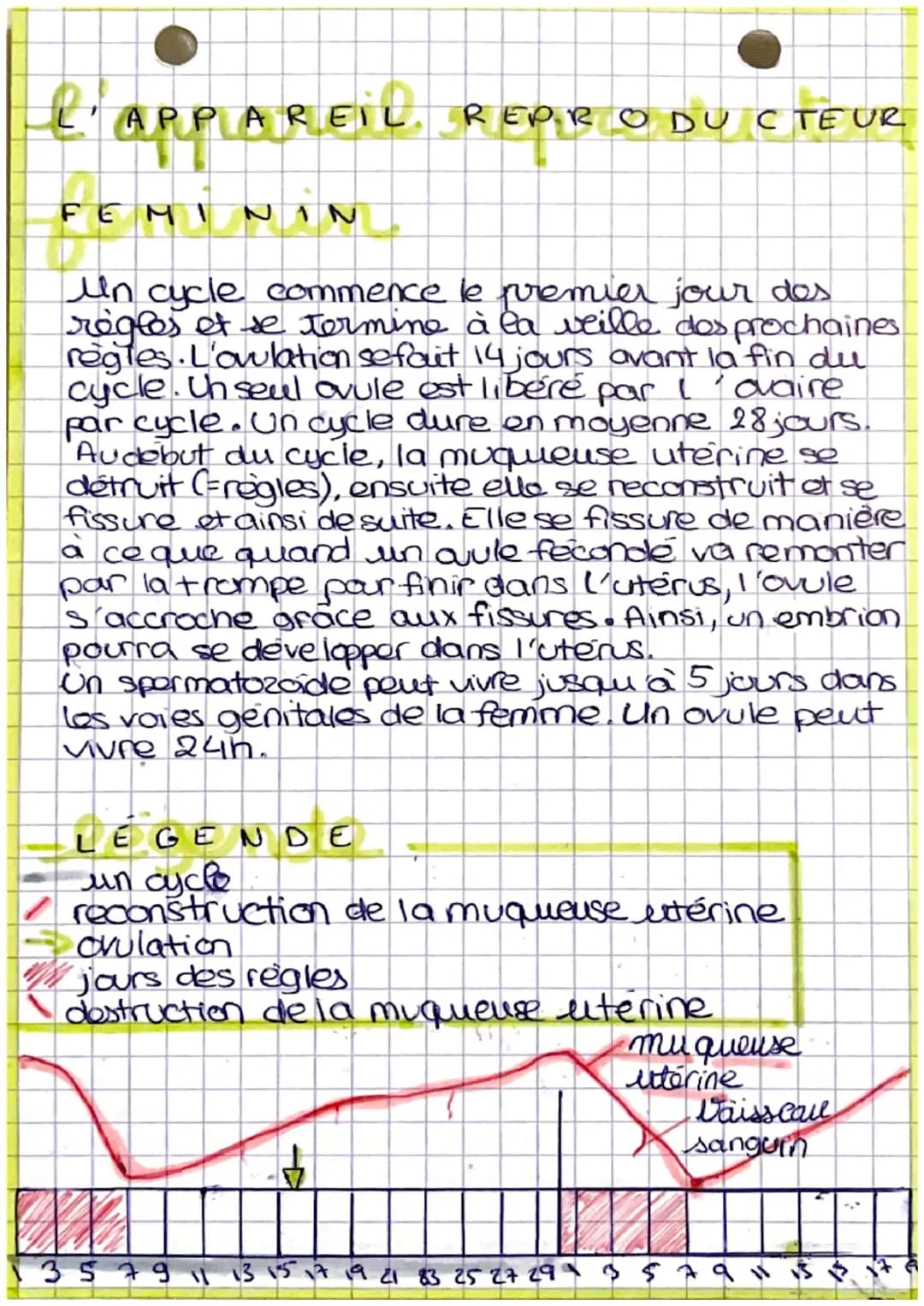 sot gj
as
LA REPRODUCTION
HUMAINE
histoire des sciences.
Theorie de la generation spontanée
<> une force superieure qui permet la naissance 