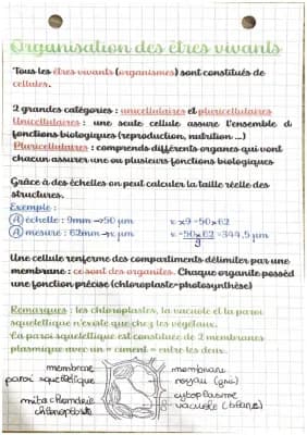 Know Organisation des êtres vivants  thumbnail