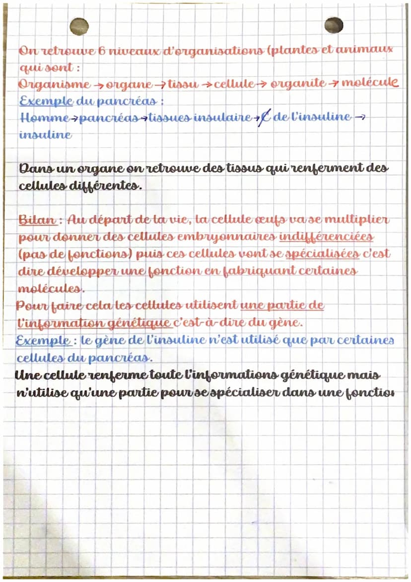 Organisation des êtres vivants
Tous les êtres vivants (organismes) sont constitués de
cellules.
2 grandes catégories : unicellulaires et plu