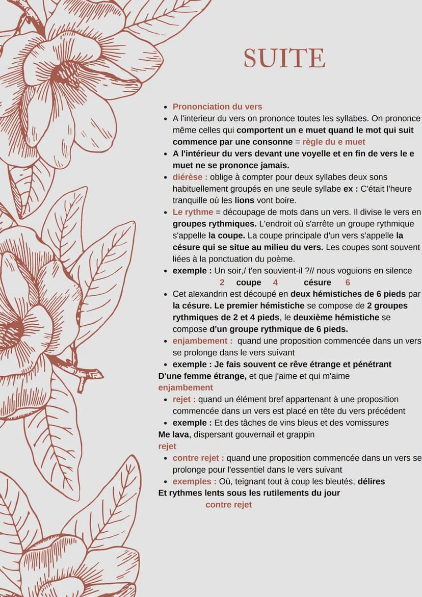 white
VOCABULAIRE
DE LA POÉSIE
poème : généralement constitué de vers regroupés en strophes
• Un vers se découpe en syllabes que l'on appell